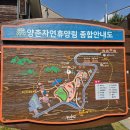 논산숲 | 논산 양촌자연휴양림 후기 - 아이와 부모님 모두 좋아할 숲속 숙소