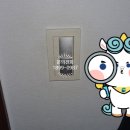 백송전기 이미지