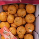 드림디포 (광산점) | 광주 과일가게 맛집, 과일왕자 신창점에서 즐기는 신선한 제철과일