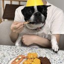 3월 일상 2(포이컵, 두멍이 생일, 콘소메이징 치킨, 삼미당, 유월의 서, 살룻 담금주, 승진)
