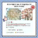 광안리 까치횟집 이미지