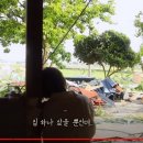 오느른꽃 이미지