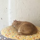 후미후미 네이버블로그