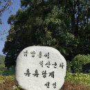 아산제 이미지