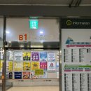 텐즈힐 애견미용 이미지