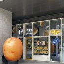 온의로 L | 강원/춘천 이색데이트로 추천하는 수제맥주 감자아일랜드 온의점 반반피자, 감자둥둥섬 리뷰