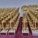 일산최강태권도장 이미지