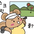 하바나스크린골프 네이버블로그