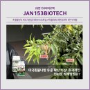 주식회사 잰153바이오텍 | 흰불나방 2화기 유충 발생, 효과적인 친환경 방제법은? - 2026년 잰닥터7올나방킬 현장 실증 데이터 공개!
