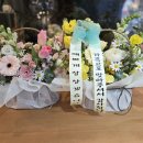 라피오레 이미지