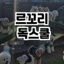 폼나개 이미지