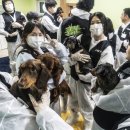 그린약품 이미지