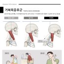 다정다감한의원 이미지