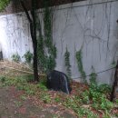 서울프랑스학교 이미지