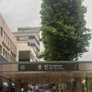 미술로생각하기관악서울대미술학원 | [봉천역] 관악구 취미미술 퇴근후미술원 봉천동점 후기
