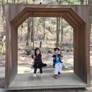 평창이야기 | 평창여행 세번째 이야기(월정사 + 선재길식당 + 토끼의숲 후기)