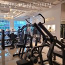 팬덤핏 마린시티점 | 우동헬스장 해운대헬스 PT 피티 팬덤핏 PT 마린시티점 가격 이벤트 후기