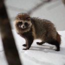 고양이부엌 이미지