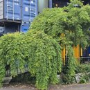 메가커피진주문산점 이미지