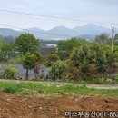장흥로하스펜션