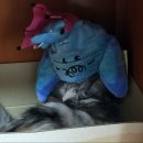 라피드 모터스 이미지