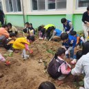 만덕초등학교 이미지