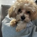 논산동물병원 이미지