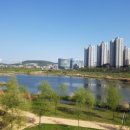 시내도로 이미지