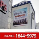 코투스애드