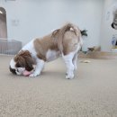 취향저견 이미지