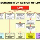 암 대사 치료 / 저용량 날트렉손 요법 LDN(Low Dose Naltrexone) ​ 이미지