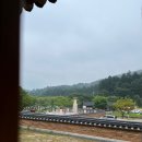 비밀의 숲 산책, 남양주 봉선사 템플스테이 후기 🪷