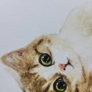 시선미술학원 이미지