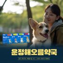 운정해오름약국 이미지