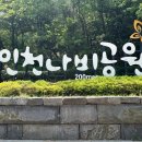 인천나비공원 | [인천 아이와 가볼만한 곳]자연체험과 힐링을 동시에, 부평 인천나비공원 주말 나들이