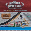 후포대게자망자율공동체 | 2026 울진대게축제 후기｜후포여행 이틀코스, 대게체험·요트·경품룰렛까지 솔직리뷰
