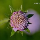 동구노인복지센터