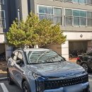 동안구청 민원봉사과 옆 | [P15:임신중기] 5개월 일상 : 임산부 일상인데 임산부 차량등록을 곁들인