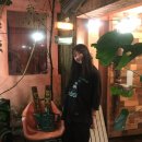 &lt;일본워홀 지역선정&gt; 게하 스탭으로 오키나와에서 살아보기 2