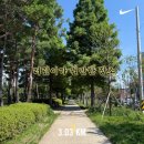 철길숲(학산동) 이미지