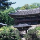 정조임금은 실학을 탄압했나? 실학을 주도했나?(조선출판문화)