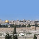 다윗 CO. 이미지