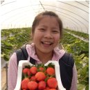 은행사거리 이미지