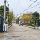 제이든 29 이미지