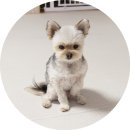 올데이올가닉 이미지