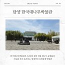 한국대나무박물관 | [담양] 담양 가볼만한 곳 추천 | 대나무박물관 리얼 후기 + 사진