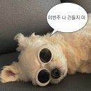 무지개슈퍼 이미지