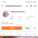 글리밍던(gleaming dawn)