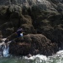 또바기펜션민박 이미지