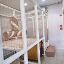 남다른감자탕 함양상림점 이미지